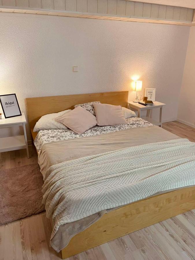 Apartment Apartma Pri Olgi